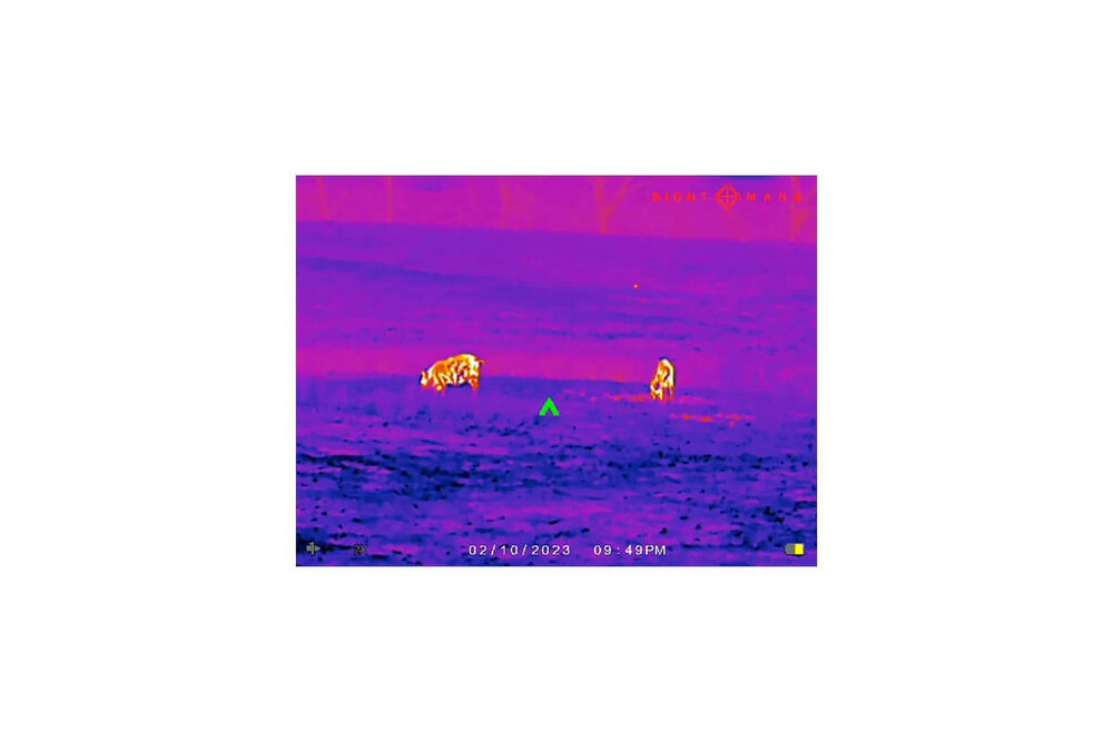 SIGHTMARK SM17001 Wraith Mini 2-16x35 Thermal Riflescope