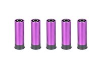 PPS 5pcs CO2 cartridge set for PPS M870