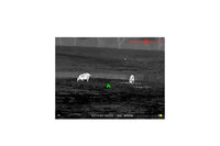 SIGHTMARK SM17001 Wraith Mini 2-16x35 Thermal Riflescope