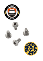 HOGUE 45019 Gov't Model Screws(4) Hex Head Stainless